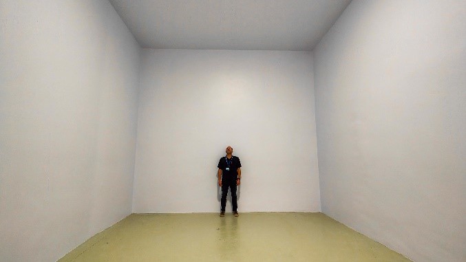 Reverberant room Acoustics Ecole Centrale de Lyon